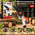 Mini Tronçonneuse Électrique Sans Fil 12V
