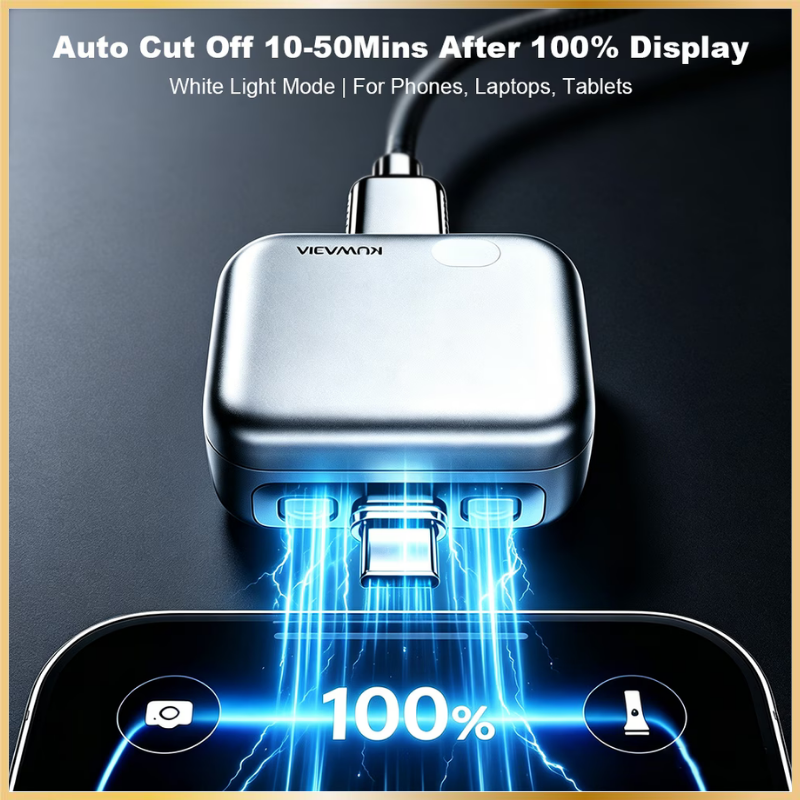 Adaptateur USB-C Charge Rapide avec Coupure Automatique